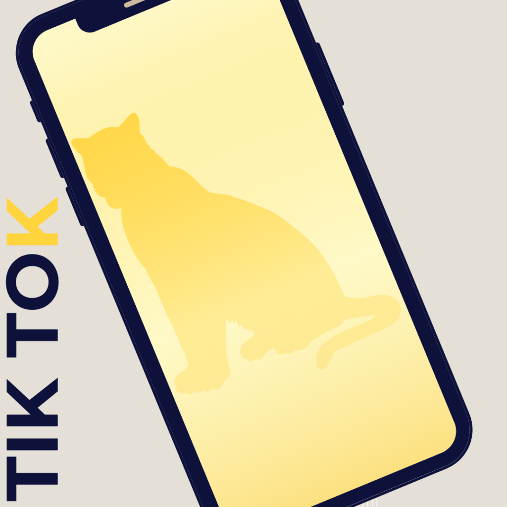 Metaphorical illustration of market analysis.TikTok Strategic frameworks. Text. Phone screen.